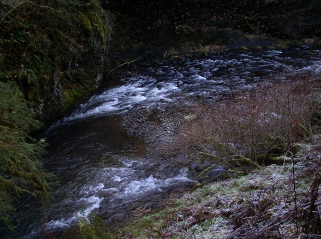 Silver Falls 12.10.05 047 